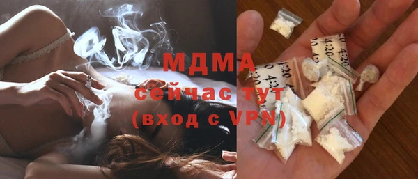 шишки Переславль-Залесский