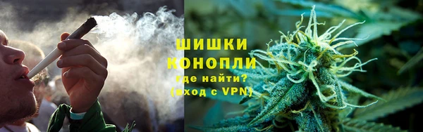 spice Пересвет