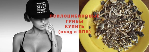 spice Пересвет