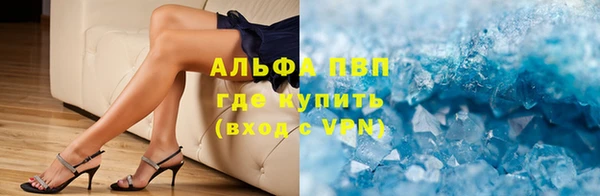 шишки Переславль-Залесский