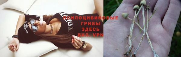 шишки Переславль-Залесский