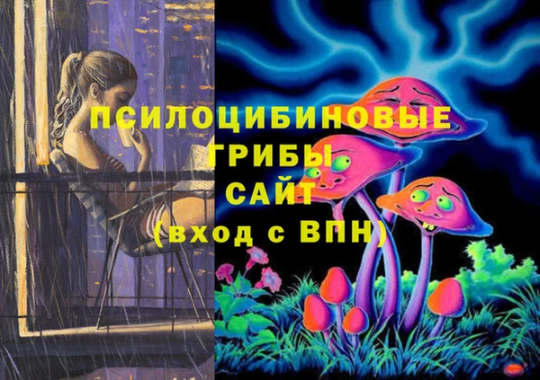 прущий лед Заречный