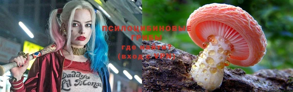 прущая мука Заполярный